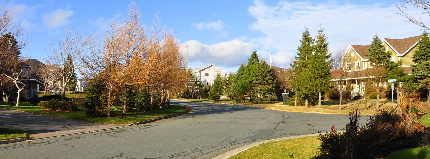 Peaceful residential street in King William's Estates, St. John's, lined with trees and family homes, capturing a welcoming suburban atmosphere